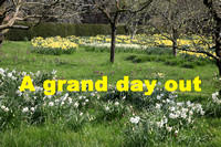 A grand day out